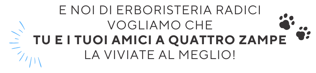 erb_banner_promo_giu25_06