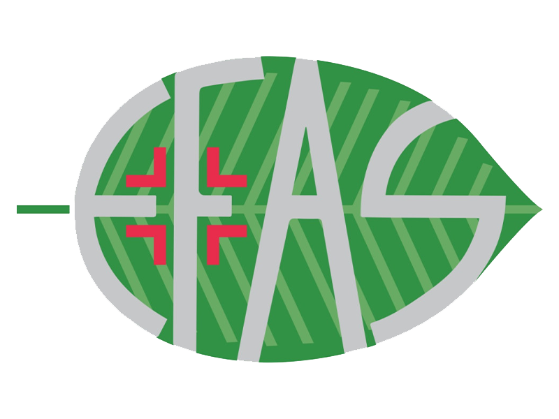 E.FA.S. SPA Logo